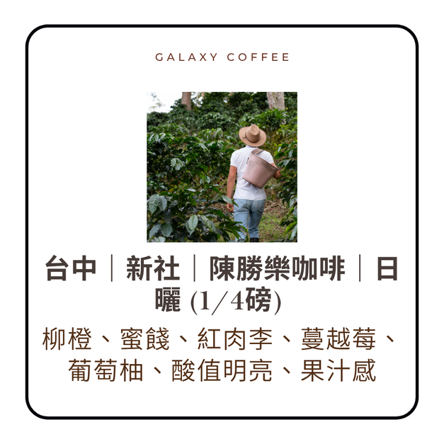 【淺中焙】台中｜新社｜陳勝樂咖啡｜日曬 (1/4磅)