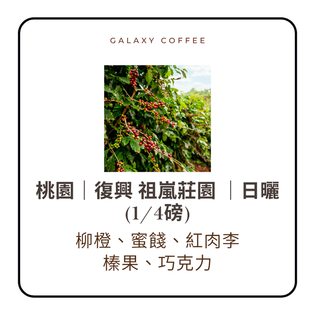 【淺中焙】桃園｜復興｜祖嵐莊園 ｜日曬 (1/4磅)