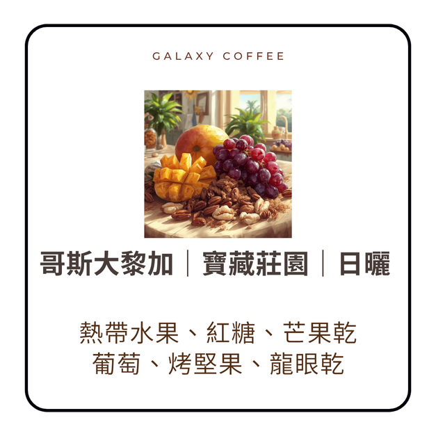 【淺焙】哥斯大黎加｜寶藏莊園｜日曬 