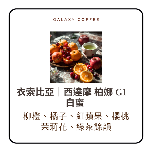 【淺焙】衣索比亞｜西達摩 柏娜 G1｜白蜜