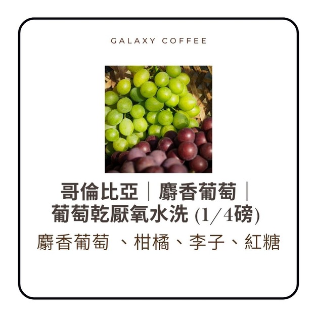 【淺中焙】哥倫比亞｜麝香葡萄｜葡萄乾厭氧水洗 (1/4磅)