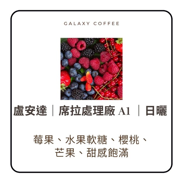 【淺中焙】盧安達｜席拉處理廠 A1 ｜日曬