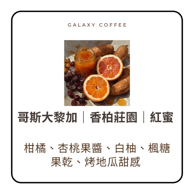 【淺焙】哥斯大黎加｜香柏莊園｜紅蜜｜掛耳咖啡（盒裝10入／袋裝15入）