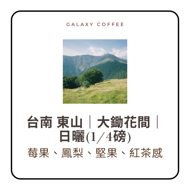 【淺中焙】台南 東山｜大鋤花間｜ 日曬(1/4磅)
