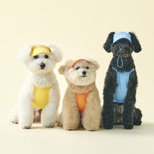 愛心寵物柔軟遮陽帽(三色)