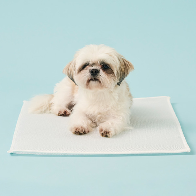 寵物蜜糖涼涼墊