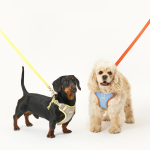 緩緩安全胸背帶(S/M)