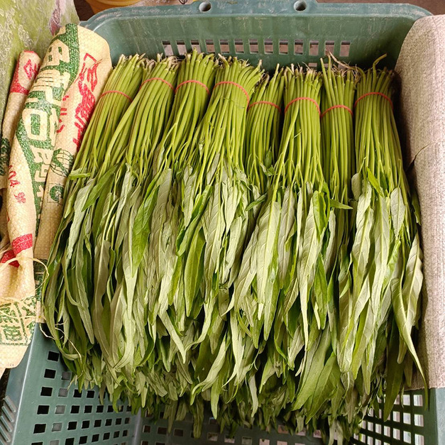 天然摘種的空心菜1把-在地小農採用自然農法摘種