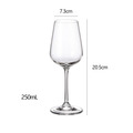 【CRYSTAL BOHEMIA】STRIX 夜羽系列 水晶玻璃杯 利口酒杯 白酒杯 紅酒杯 笛型香檳杯 啤酒杯_15