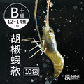 【免運】普拉斯大蝦/B+級 (10包入)