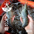 普拉斯大蝦/大大公蝦