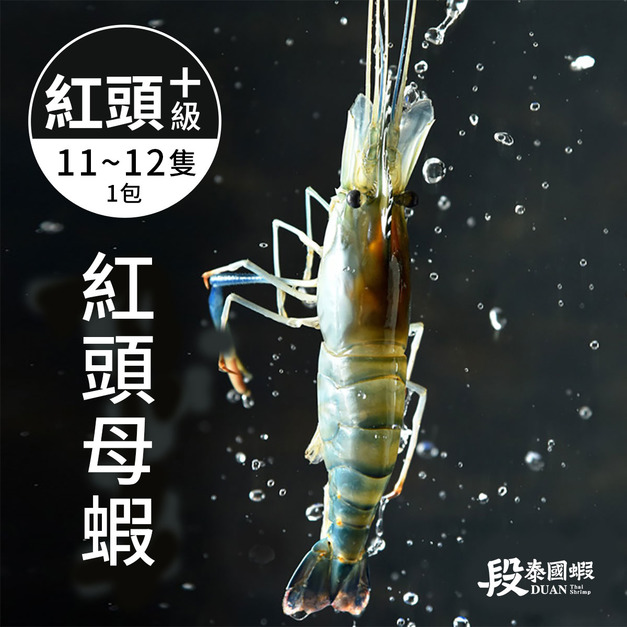 普拉斯大蝦/紅頭+級