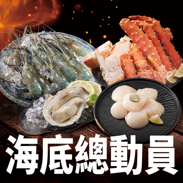 【免運】海底總動員