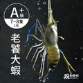 豪華海陸宴客組_4