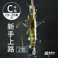 普拉斯大蝦/C+級 (2包入)