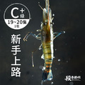 胡椒蝦料理試吃組_1