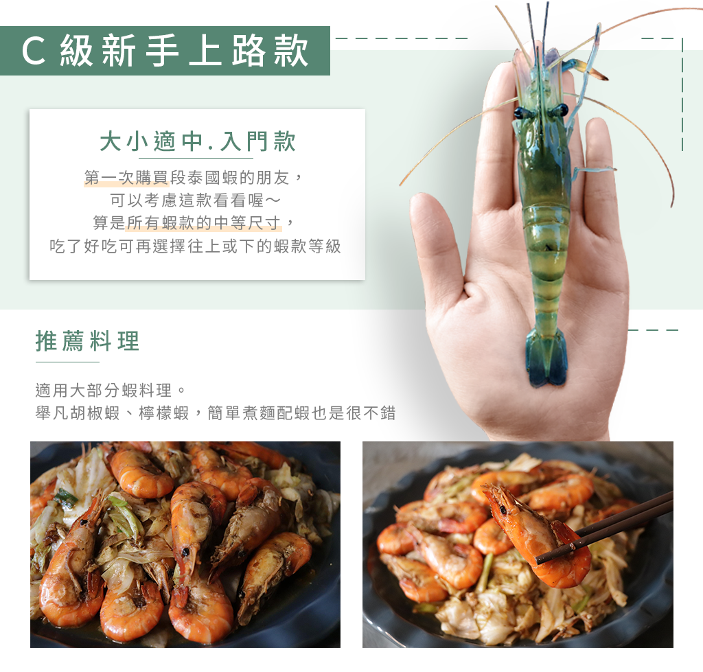 中等尺寸蝦款,新手上路最推薦的泰國蝦款