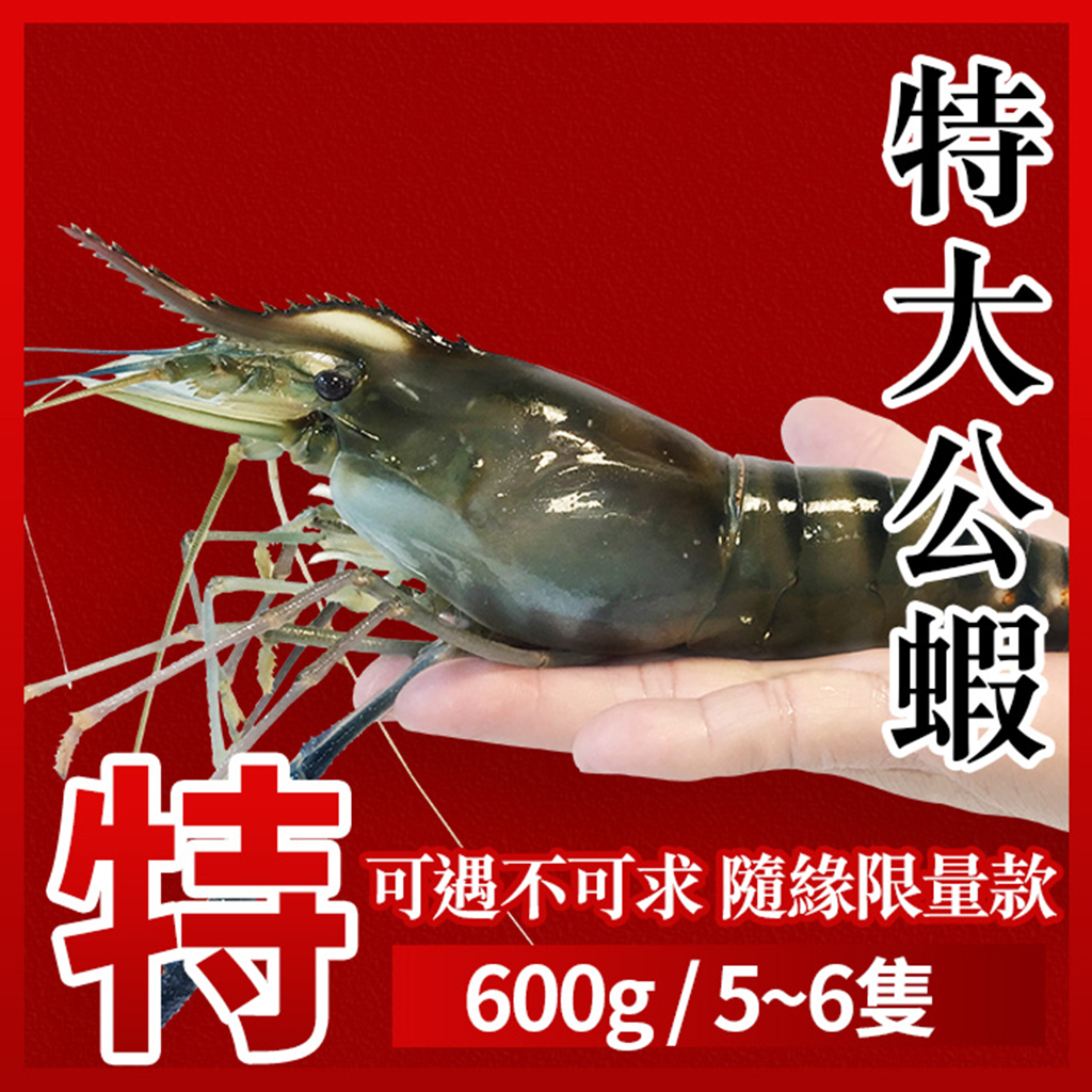 特大公蝦