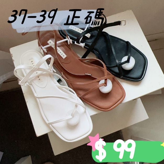 37碼，正碼，運費50元，不退換，全新品