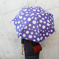 自動傘 - 點點_3