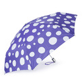 自動傘 - 點點