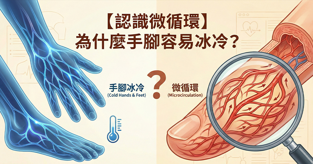 【認識微循環】為什麼手腳容易冰冷？