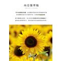 得獎面膜系列-羧基凝露面膜（3款任選）-安諾萊雅 Anolya_2