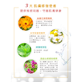 舒緩防護精華液(金盞花&洋甘菊)-安諾萊雅 Anolya_10