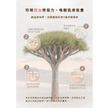 龍血撫皺煥采修復精華液-安諾萊雅 Anolya_4