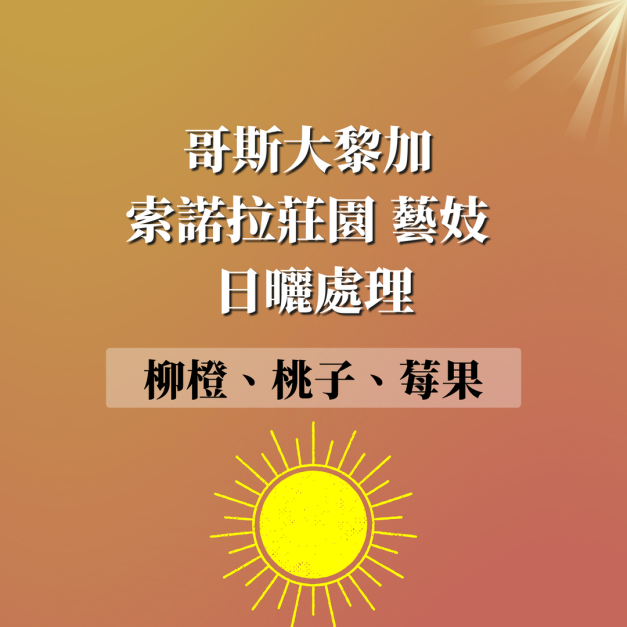 哥斯大黎加 索諾拉莊園 藝妓 日曬處理法 濾掛咖啡