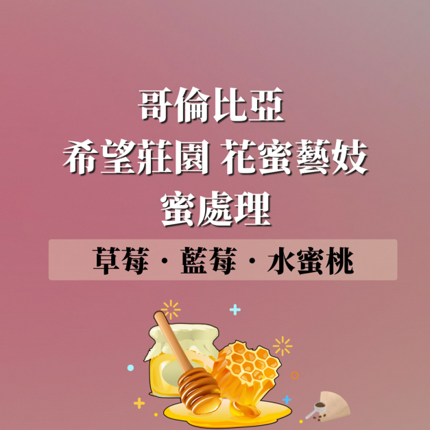 (限量) 哥倫比亞  希望莊園 花蜜藝妓  蜜處理 (烘豆師推薦)