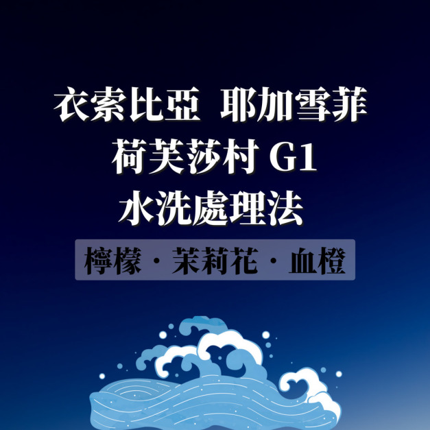 衣索比亞 耶加雪菲 荷芙莎村 Top G1 水洗處理法