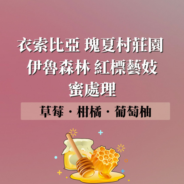 (限量) 衣索比亞 瑰夏村莊園 伊魯森林 紅標藝妓 蜜處理 (烘豆師推薦)