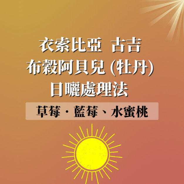 衣索比亞  古吉  布穀阿貝兒 (牡丹)  日曬處理法 G1　 濾掛咖啡