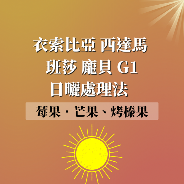 衣索比亞 西達馬  班莎 龐貝 日曬處理法 G1 濾掛咖啡
