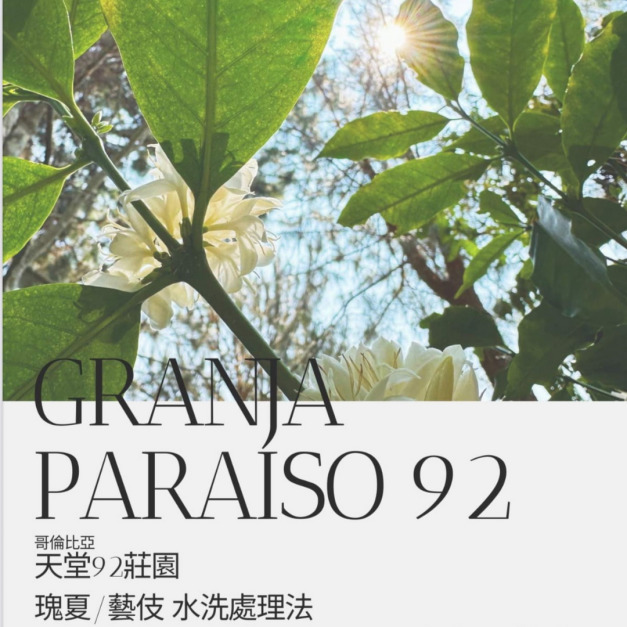 (限量) 哥倫比亞  天堂92莊園   藝伎 水洗處理法  濾掛咖啡  (烘豆師推薦)