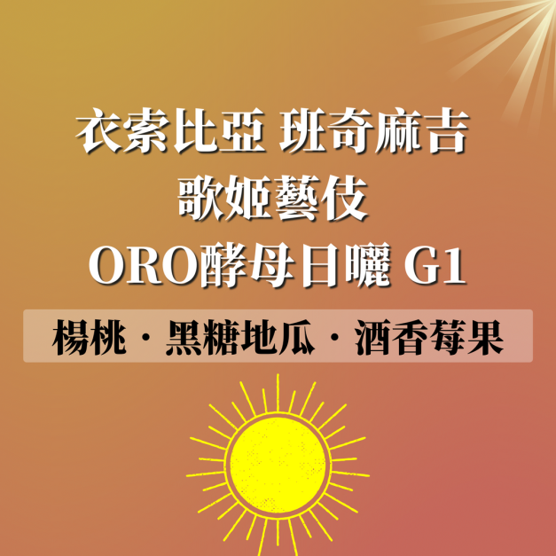 衣索比亞 班奇麻吉 歌姬藝伎 特殊ORO 酵母日曬 濾掛咖啡