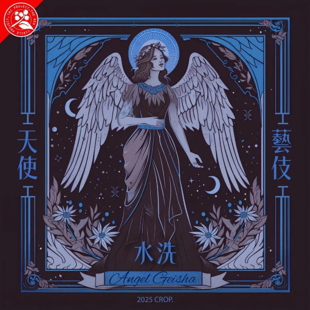 (限量) 衣索比亞 耶加雪菲 天使藝妓 top G1 水洗 濾掛咖啡