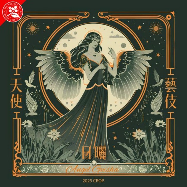 (限量) 衣索比亞 耶加雪菲 天使藝妓 top G1  日曬 濾掛咖啡