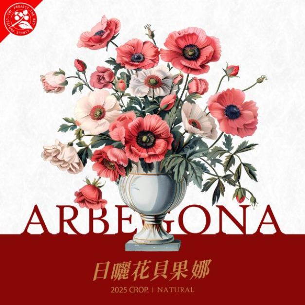 衣索比亞 西達莫 花貝果娜  74158 單一品種 Top G1 濾掛咖啡