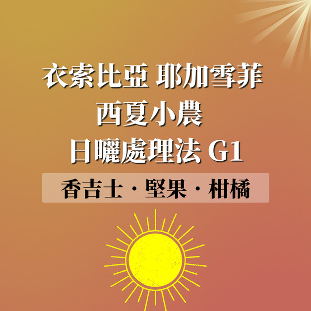 衣索比亞 耶加雪菲 西夏小農 日曬處理法 G1 濾掛咖啡