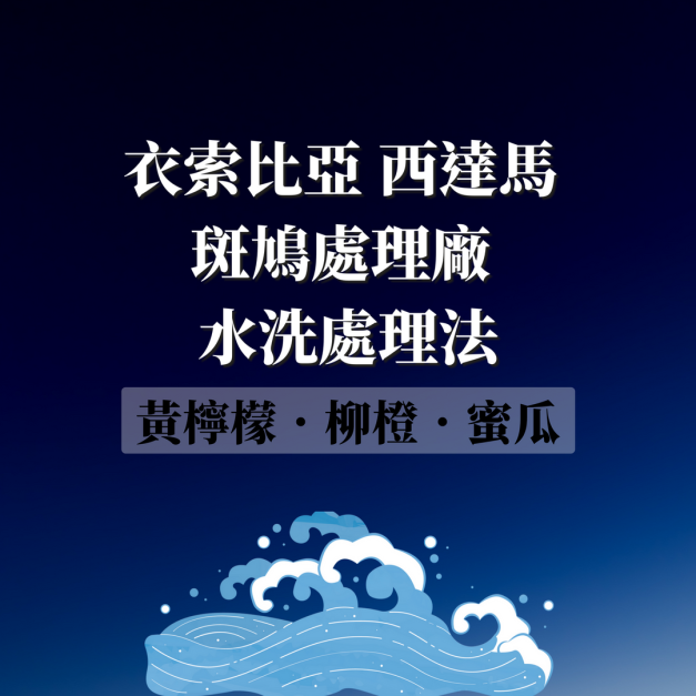 衣索比亞 西達馬 斑鳩處理廠  濾掛咖啡 水洗處理法  G1