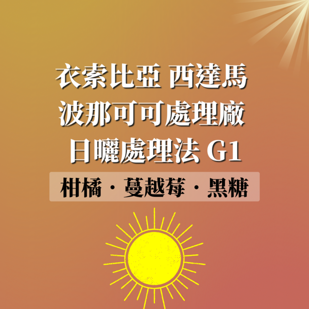 衣索比亞 西達馬  波那可可處理廠  日曬處理法 G1 濾掛咖啡