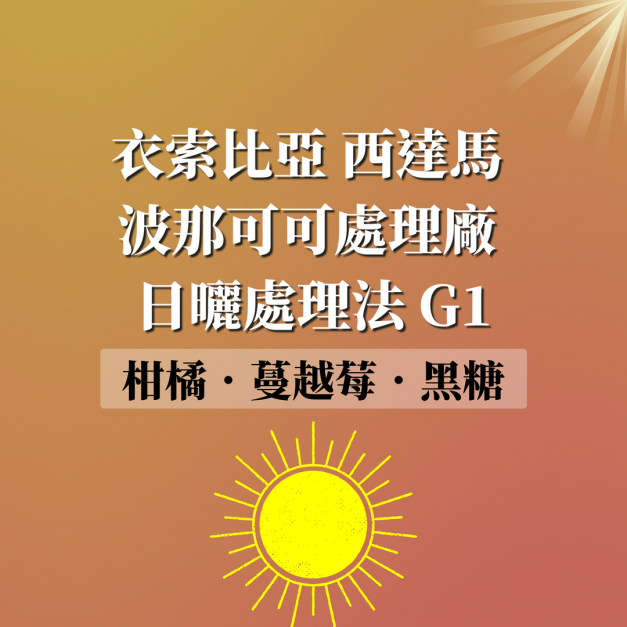衣索比亞 西達馬  波那可可處理廠  日曬處理法 G1