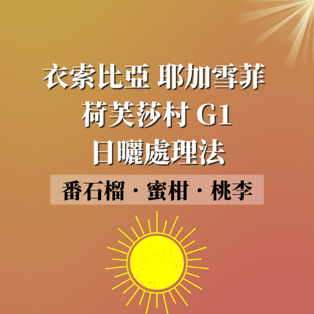 衣索比亞 耶加雪菲 荷芙莎村 Top G1 日曬處理法