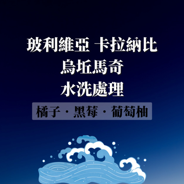 玻利維亞 卡拉納比 烏坵馬奇 明日太陽計劃 水洗處理法  濾掛咖啡