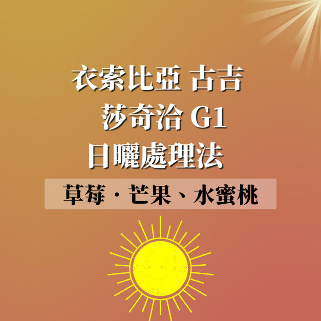 衣索比亞 古吉 莎奇洽 日曬處理法  G1 濾掛咖啡