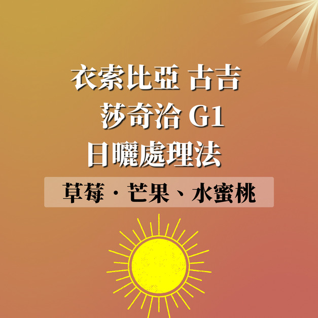 衣索比亞 古吉 莎奇洽 日曬處理法  G1