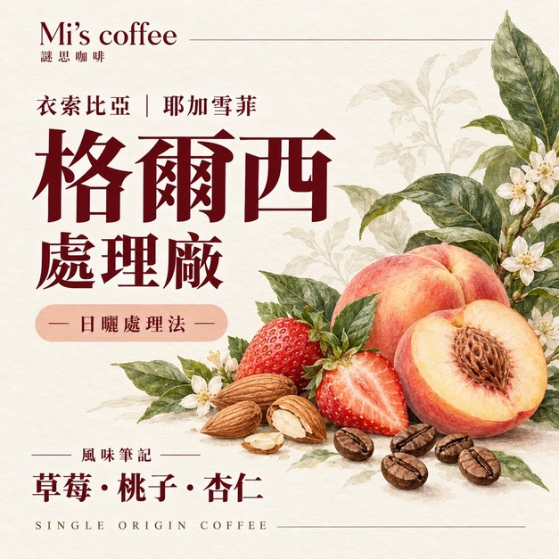 衣索比亞耶加雪菲 格爾西｜日曬濾掛咖啡