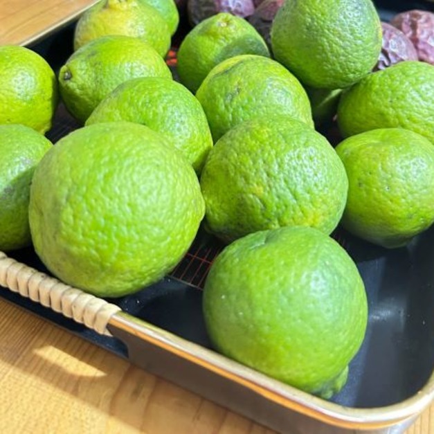 阿里山自然農法檸檬(300公克)